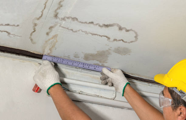 Reliable Mold Remediation contractor in Oberlin, KS by Water Damage Irwin